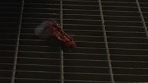 Le Goa'uld sorti mourant sur la rampe de la Porte des étoiles (SG1 : L'Ennemi intérieur).