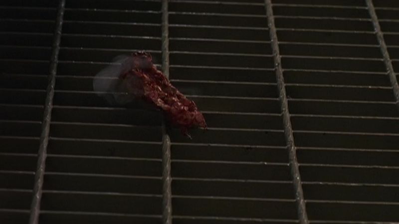 Fichier:Goa'uld de Charles Kawalsky mourant.jpg