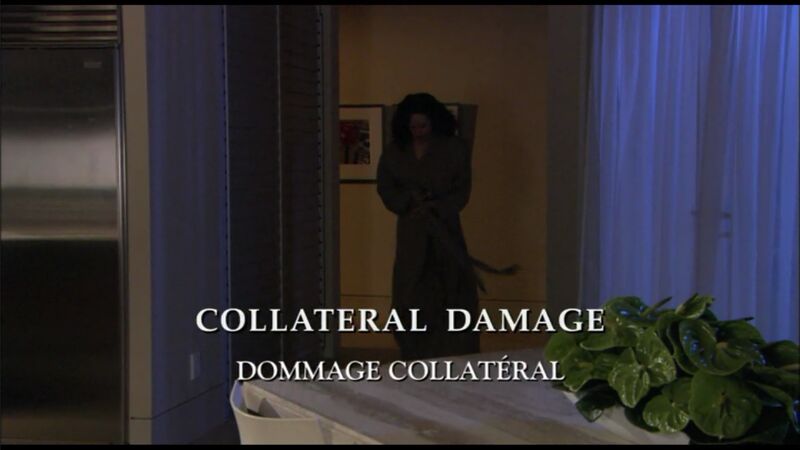 Fichier:Dommage collatéral - image titre.jpg