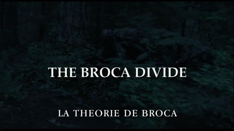 Fichier:La Théorie de Broca - image titre.jpg